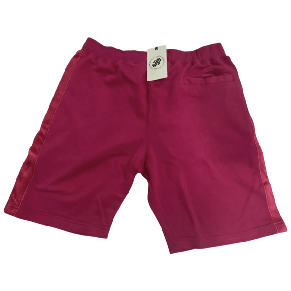Perseverance Bear Shorts shorts ART ON SHIRTS 